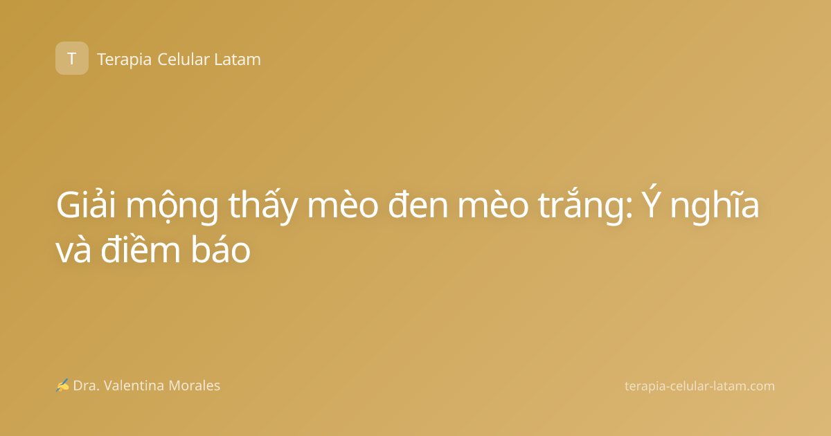 Giải mộng thấy mèo đen mèo trắng: Ý nghĩa và điềm báo