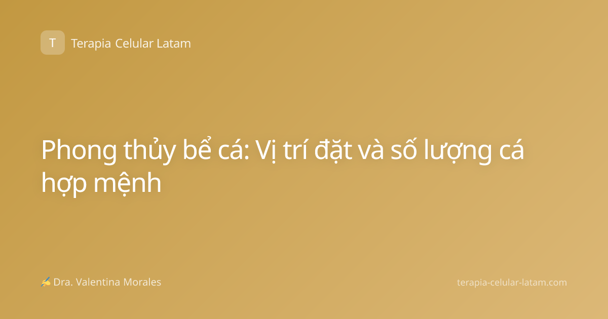 Phong thủy bể cá: Vị trí đặt và số lượng cá hợp mệnh