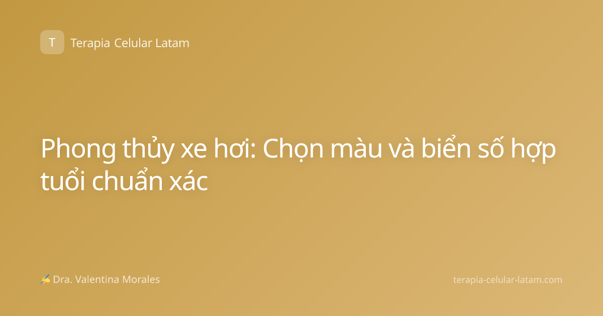 Phong thủy xe hơi: Chọn màu và biển số hợp tuổi chuẩn xác