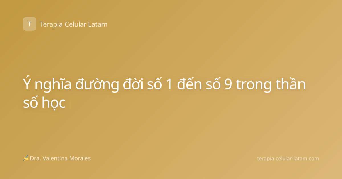 Ý nghĩa đường đời số 1 đến số 9 trong thần số học